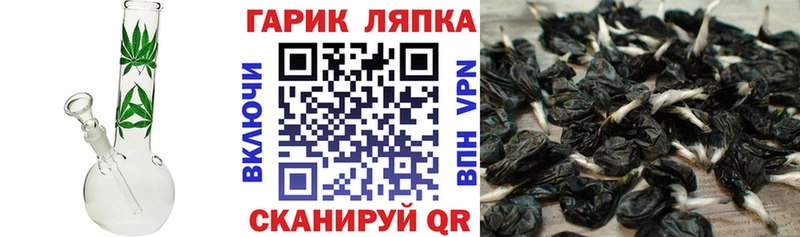 наркота  Ленинск-Кузнецкий  ГАШ гарик 
