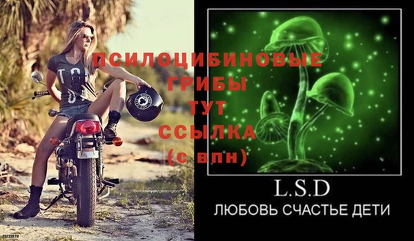 ECSTASY Алзамай