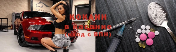 ECSTASY Алзамай