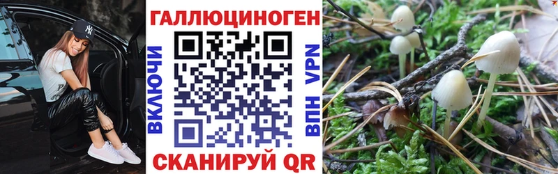 Галлюциногенные грибы мухоморы  Ленинск-Кузнецкий 