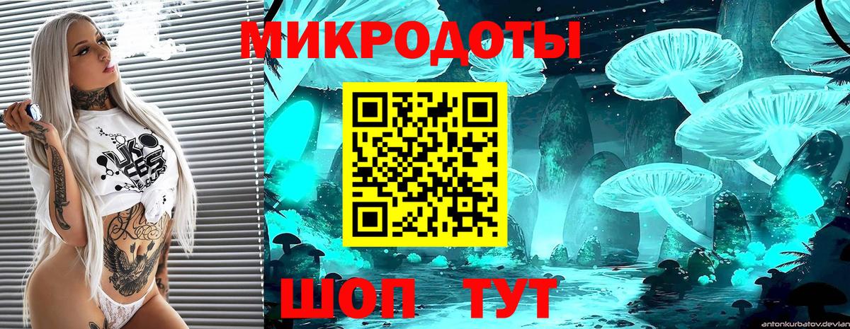 Галлюциногенные грибы мицелий Ленинск-Кузнецкий