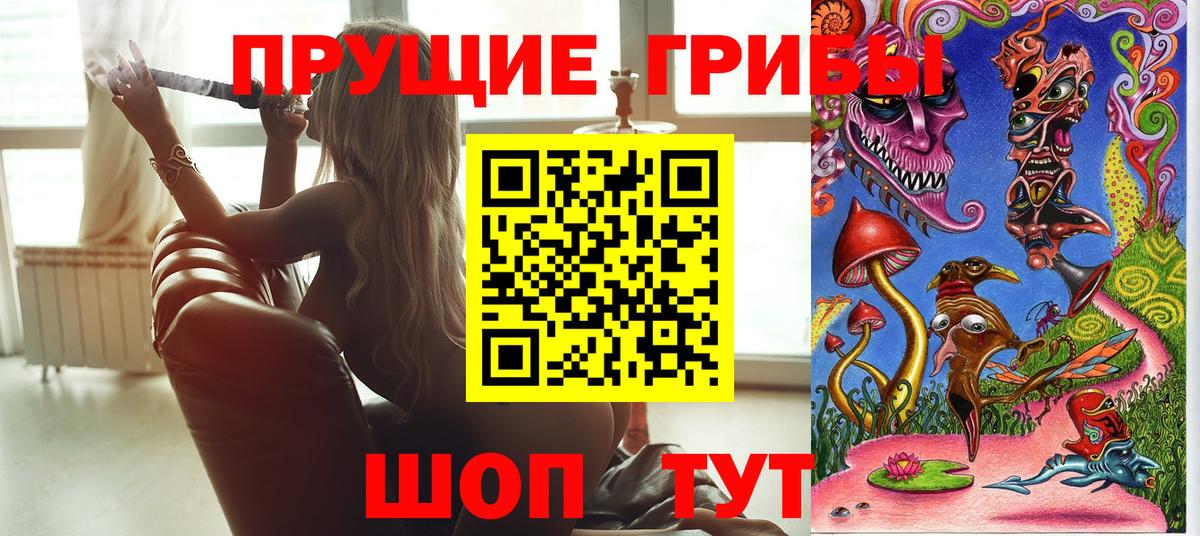 где можно купить   Вход с VPN  Ленинск-Кузнецкий  Псилоцибиновые грибы GOLDEN TEACHER 
