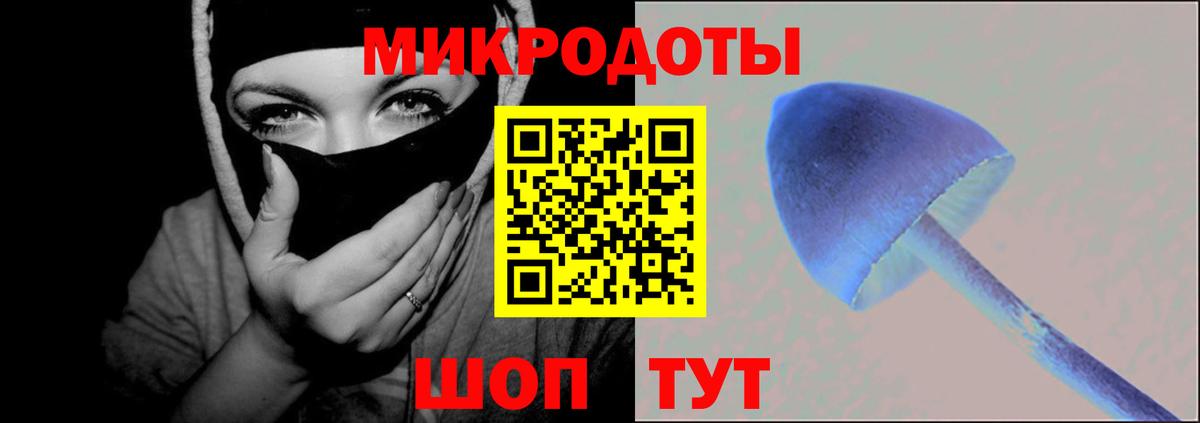 Псилоцибиновые грибы мицелий Ленинск-Кузнецкий